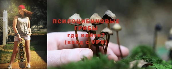 бутират Касимов