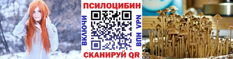 Галлюциногенные грибы Psilocybine cubensis  Купить  Вилючинск 